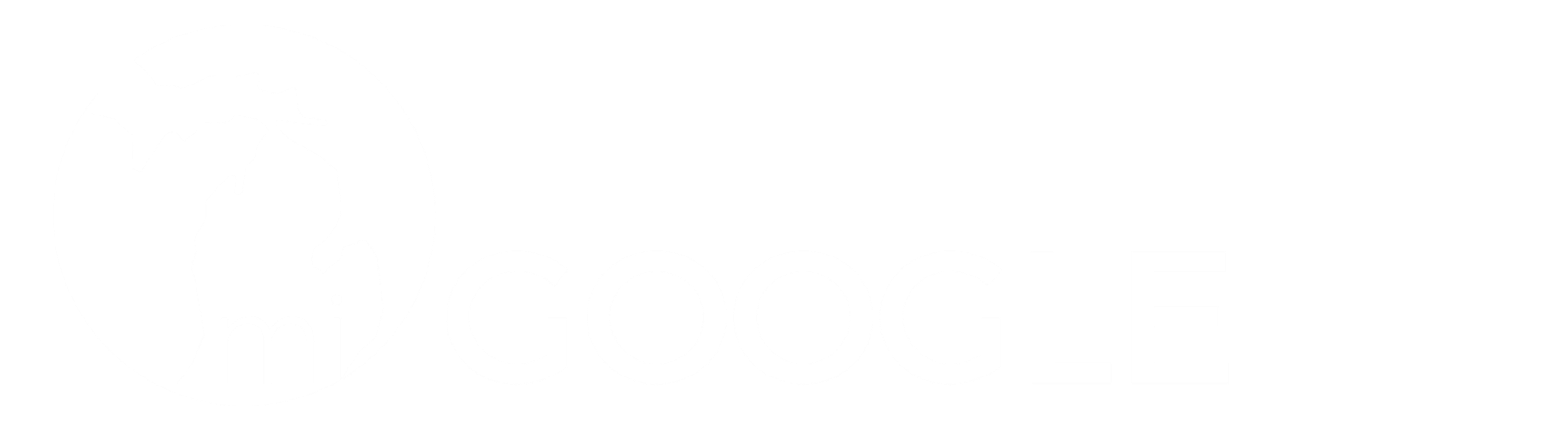 2022 miGoogle Banner